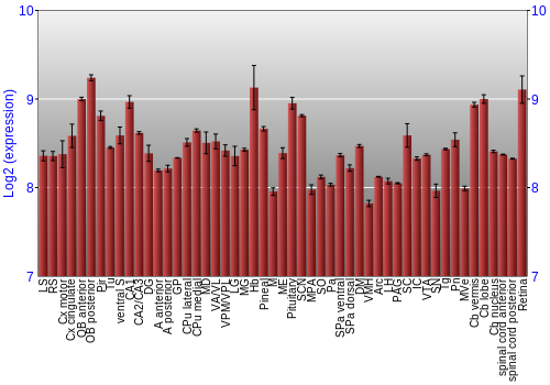 Expression graph
