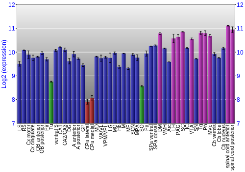 Multi-state expression graph