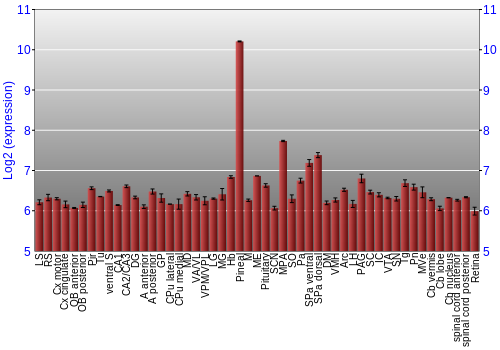 Expression graph