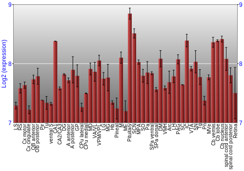 Expression graph