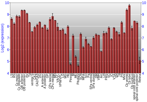 Expression graph