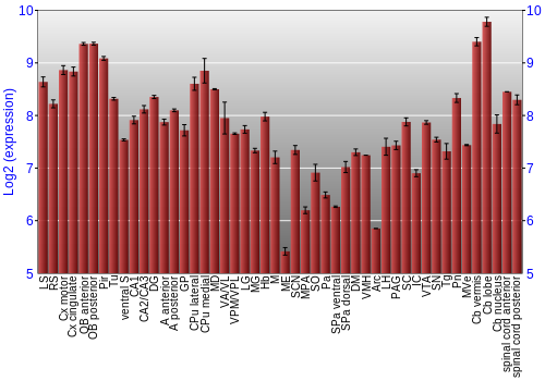 Multi-state expression graph