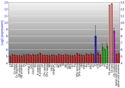 Multi-state expression graph