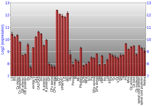 Expression graph