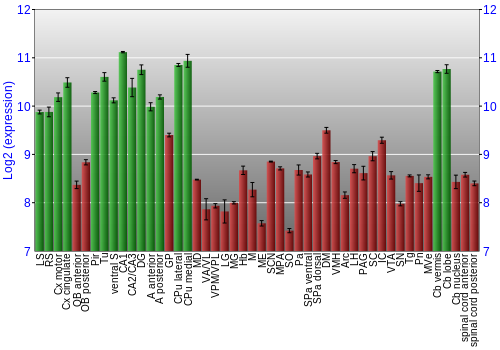 Multi-state expression graph