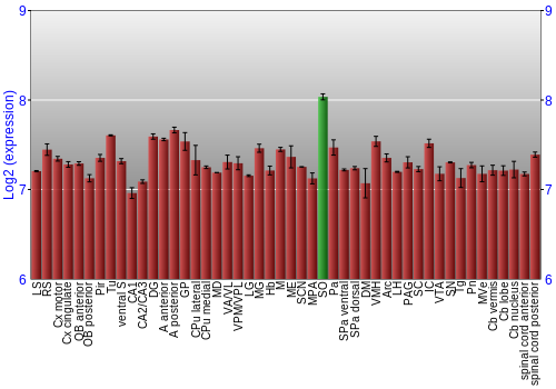 Multi-state expression graph