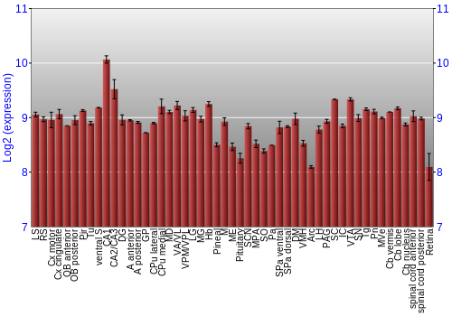 Expression graph