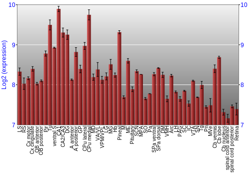 Expression graph