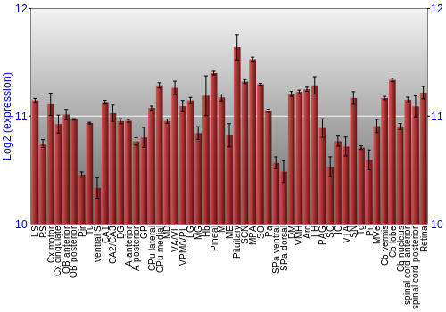 Expression graph