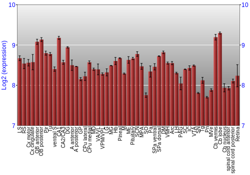 Expression graph