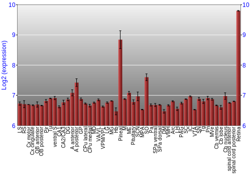 Expression graph