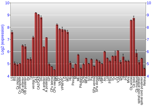 Expression graph