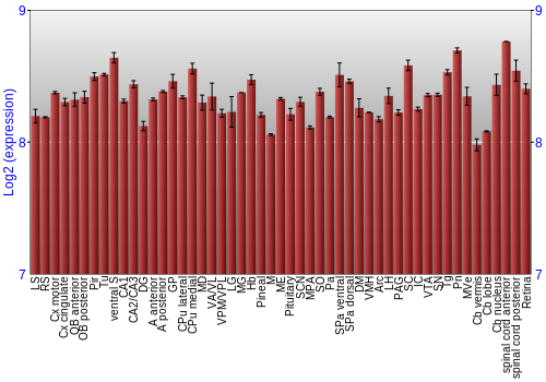 Expression graph