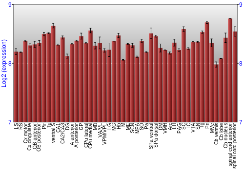 Multi-state expression graph