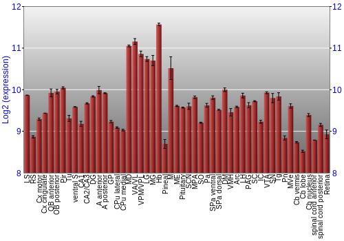 Expression graph
