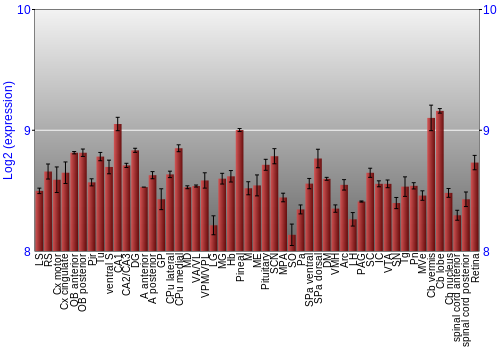 Expression graph