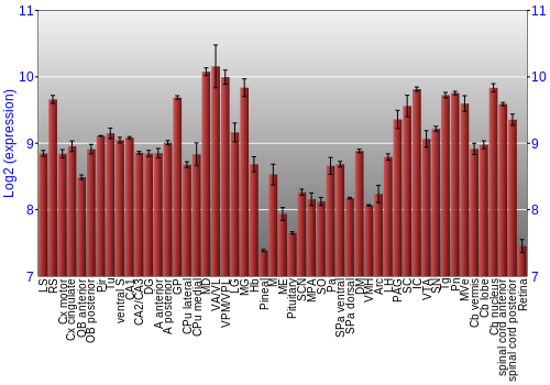 Expression graph