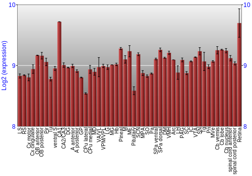 Expression graph