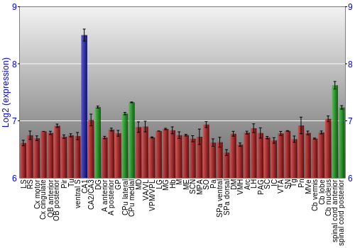 Multi-state expression graph