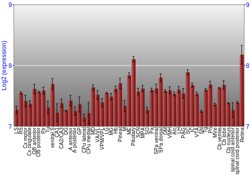 Expression graph