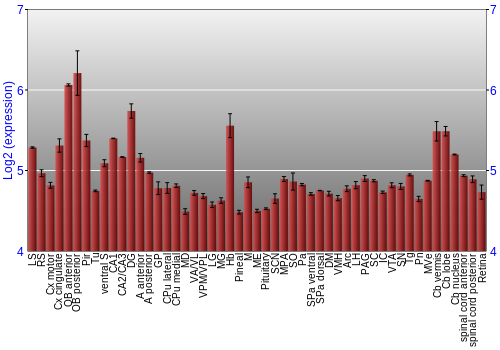 Expression graph