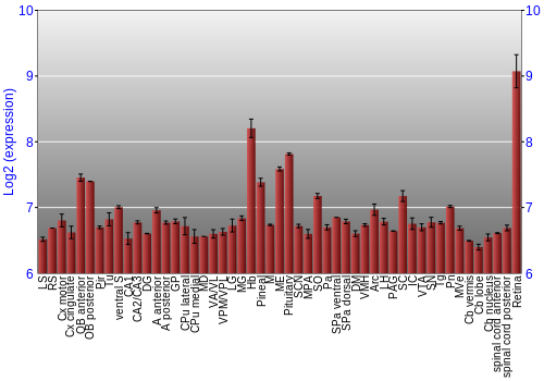 Expression graph