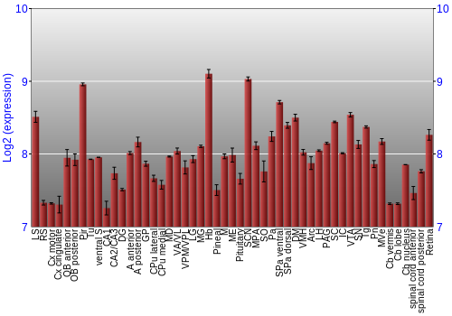 Expression graph