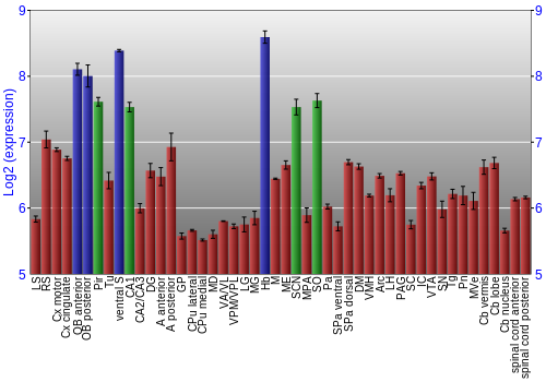 Multi-state expression graph