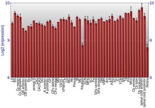 Expression graph