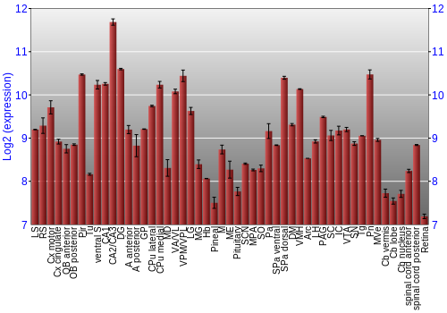 Expression graph