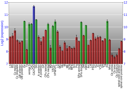 Multi-state expression graph
