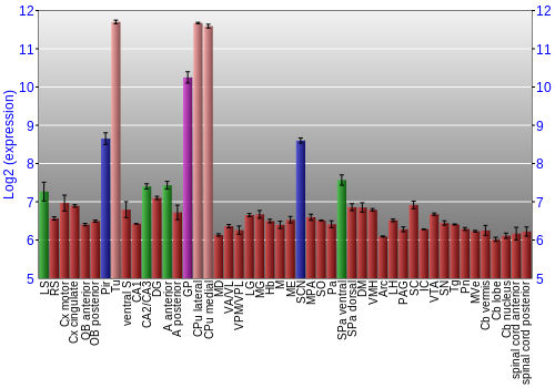Multi-state expression graph