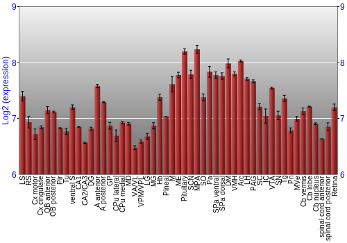 Expression graph