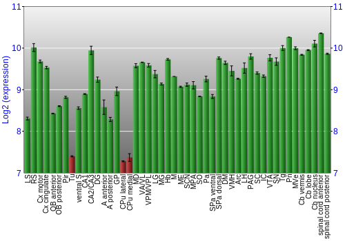 Multi-state expression graph