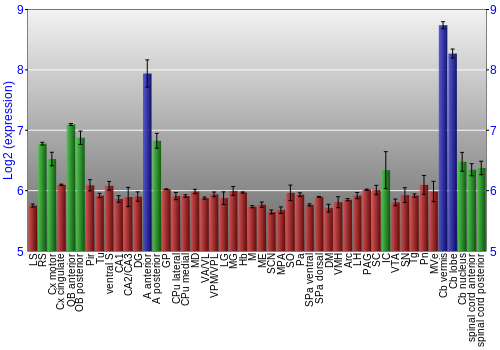 Multi-state expression graph