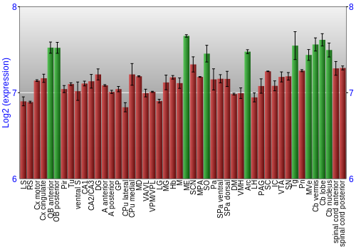 Multi-state expression graph