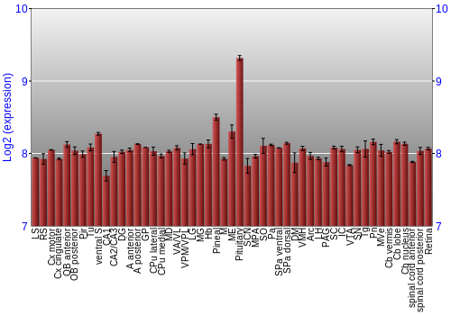 Expression graph