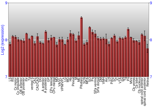 Expression graph