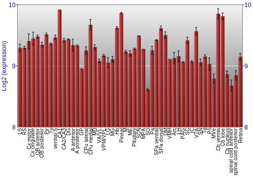 Expression graph