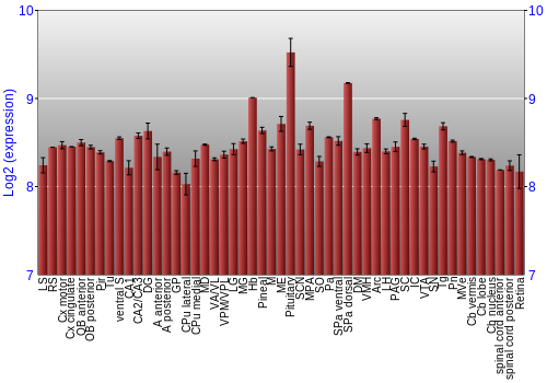 Expression graph