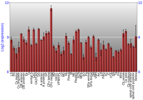 Expression graph