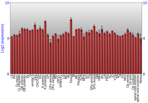 Expression graph