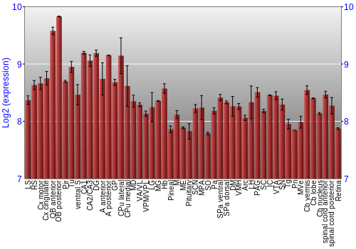 Expression graph