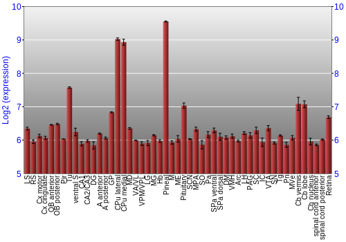 Expression graph