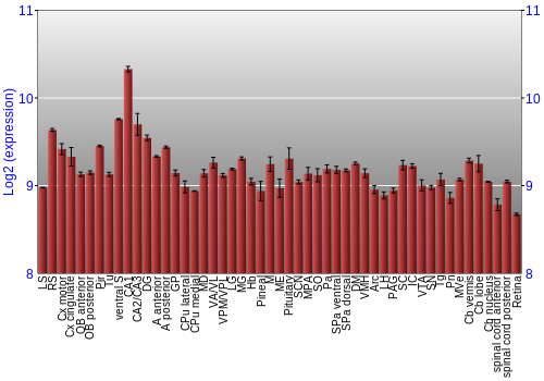 Expression graph