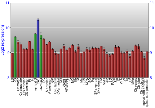 Multi-state expression graph