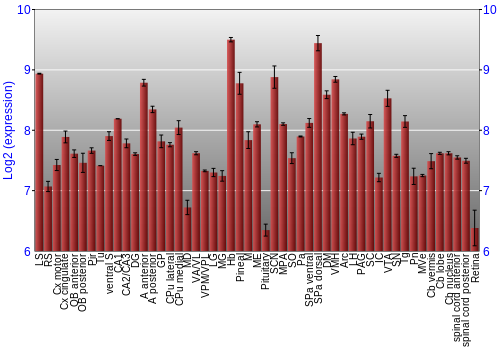 Expression graph