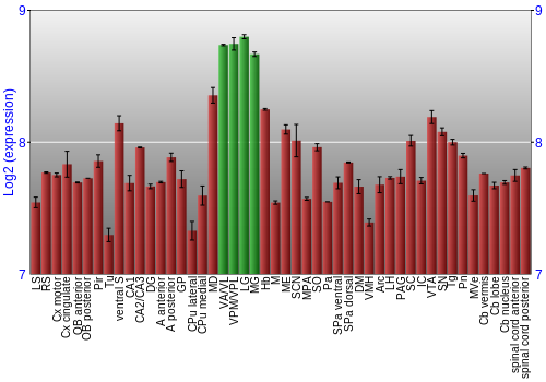 Multi-state expression graph