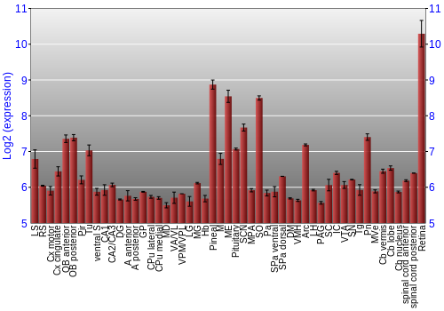 Expression graph