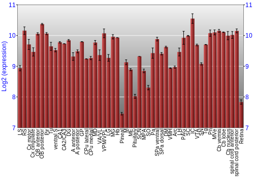 Expression graph